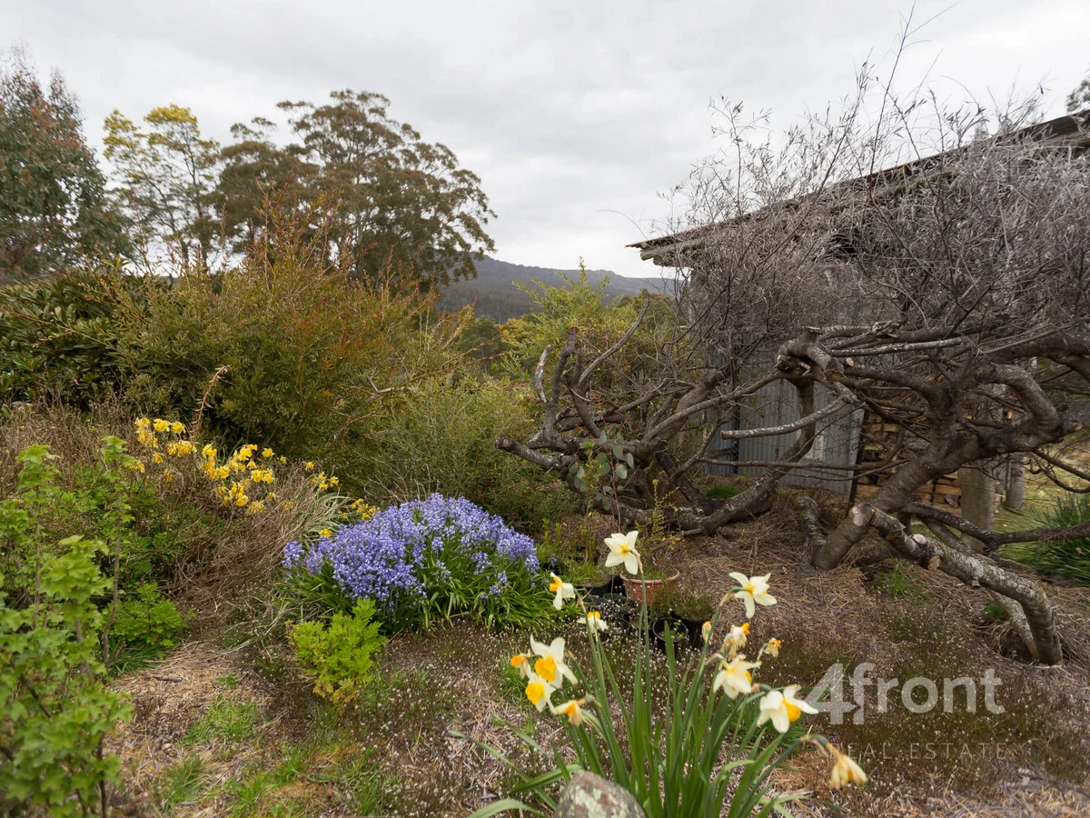 Additional image 9 of 1 and 2/141 Tiers View Road, Golden Valley TAS 7304