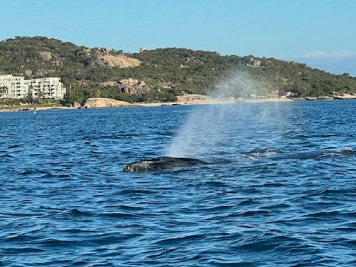 Additional image 5 of 5/2B Horseshoe Bay Road, Bowen QLD 4805