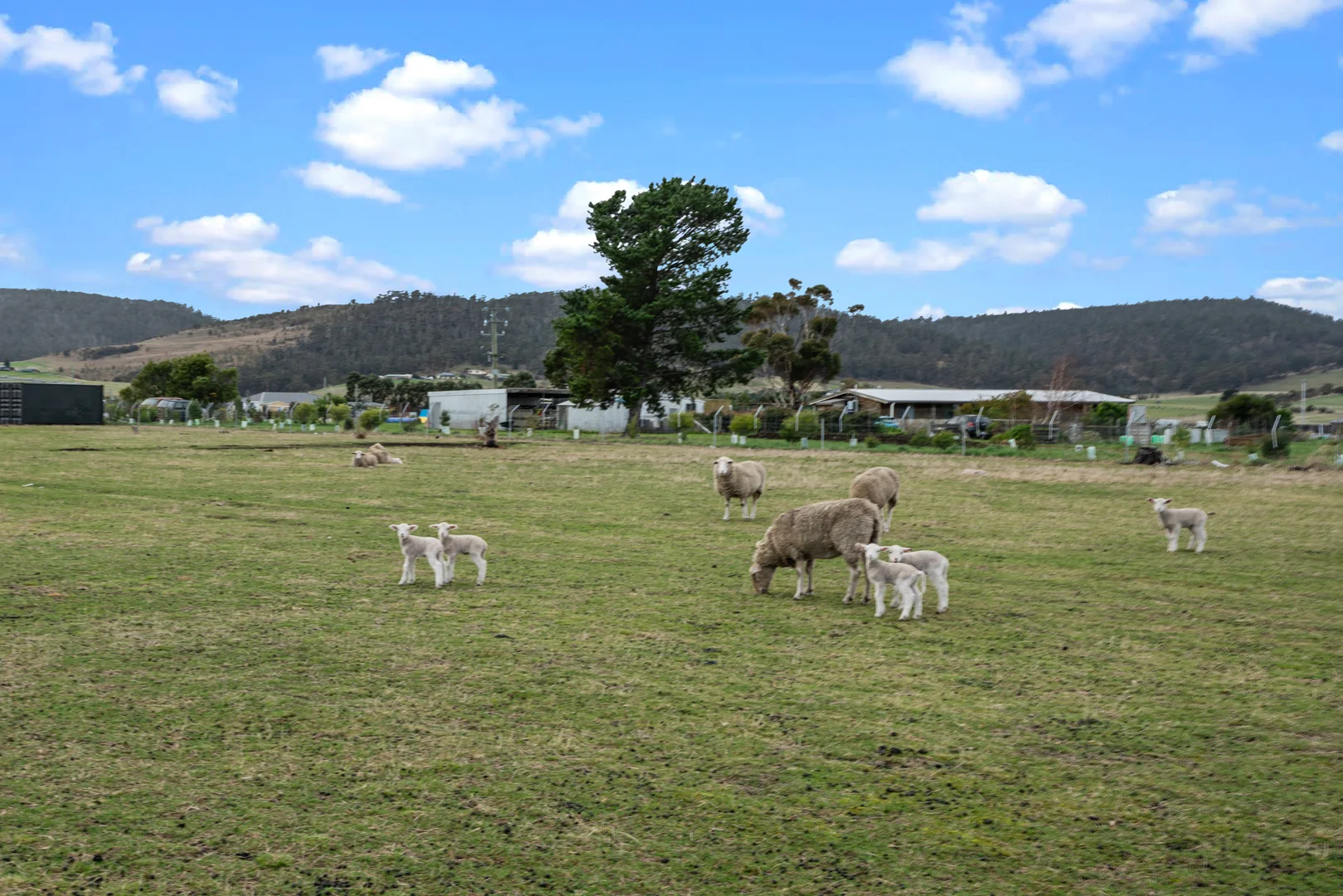 Additional image 7 of 35 Goodford Lane, Orielton TAS 7172