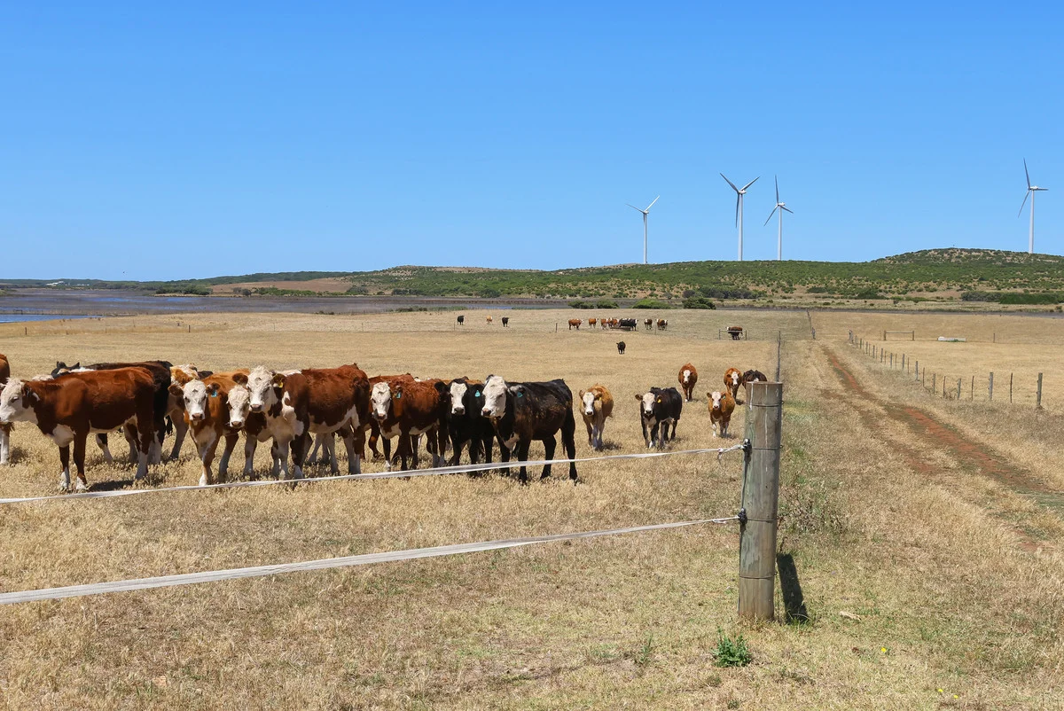 Additional image 25 of 4577 Princes Highway, Yambuk VIC 3285