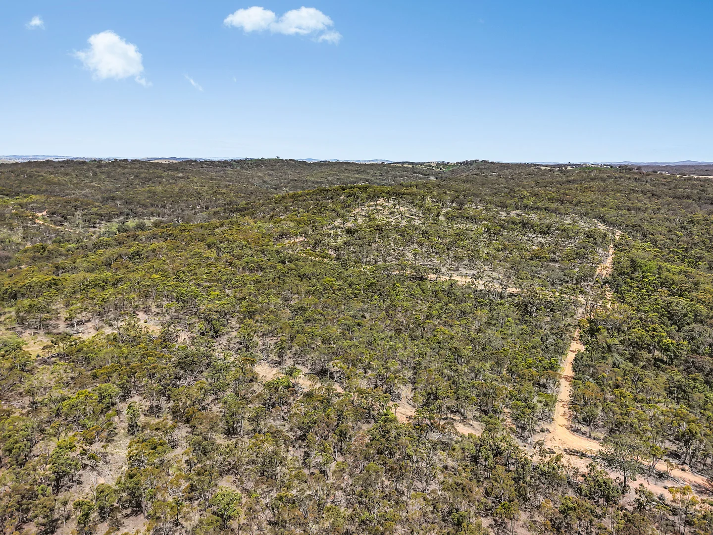 Additional image 7 of 157 Blakney Creek North Road, Bevendale NSW 2581