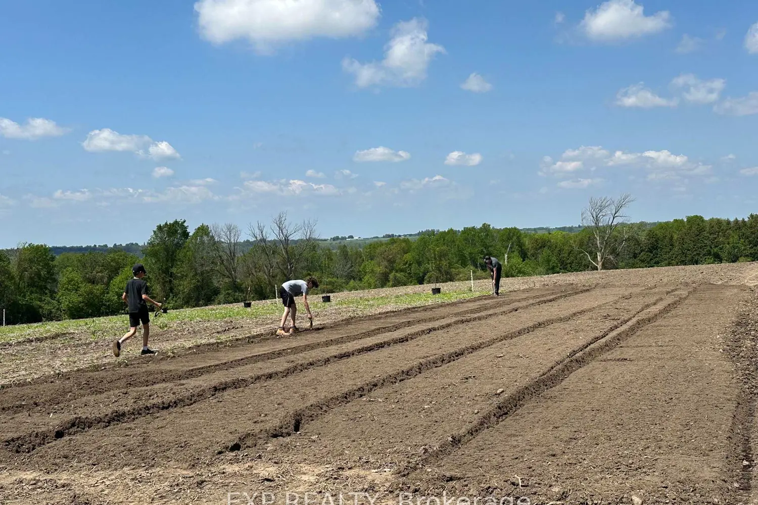 Additional image 5 of 2851 Church Street