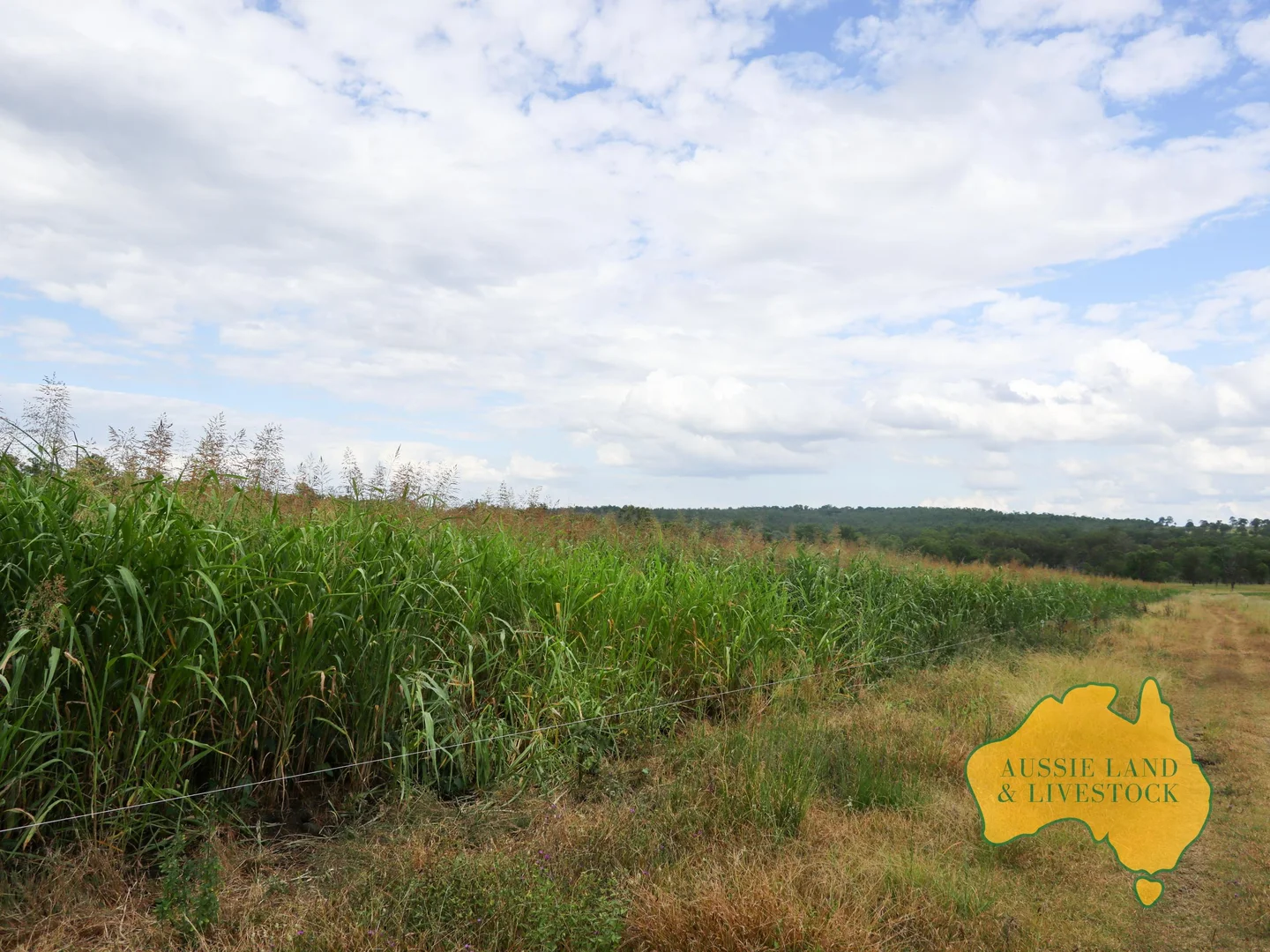 Additional image 66 of 629 Stuart Valley Drive, Haly Creek QLD 4610