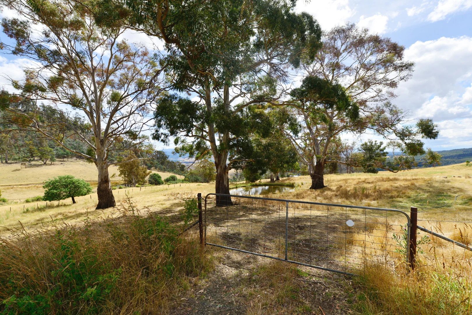 Additional image 2 of 17 Garth Lane, Black Hills TAS 7140