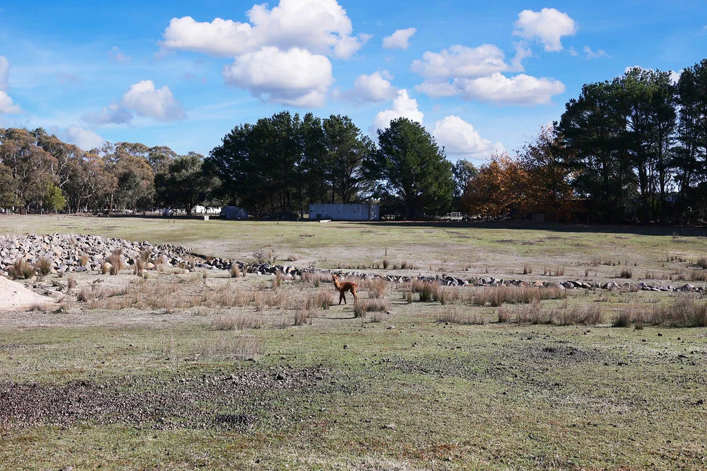 Additional image 8 of 17 Barbara Court, Haddon VIC 3351