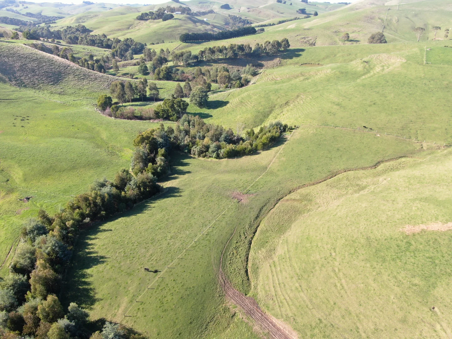 Additional image 28 of 55 Michie Road, Krowera VIC 3945