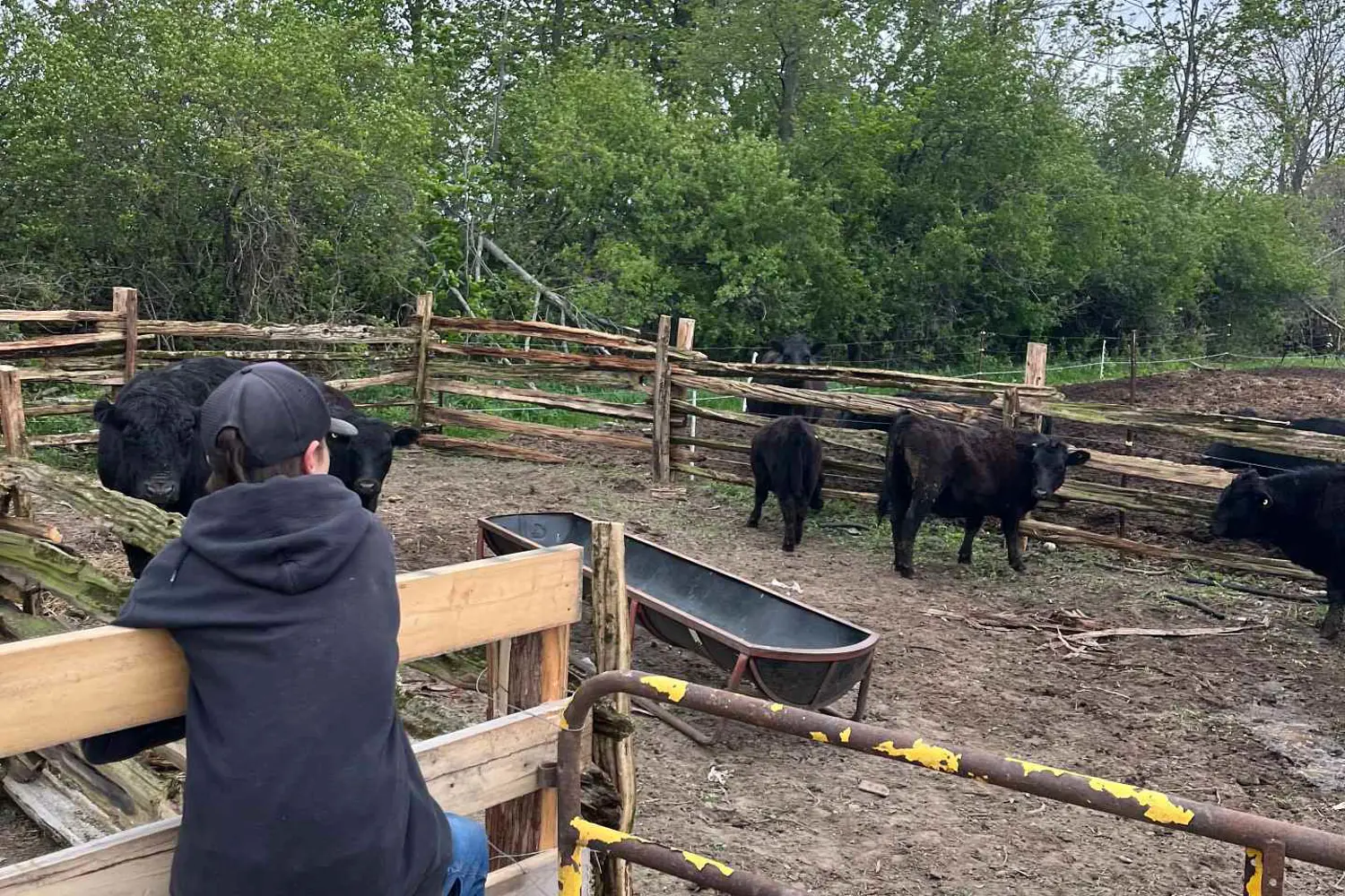 Additional image 8 of 2851 Church Street