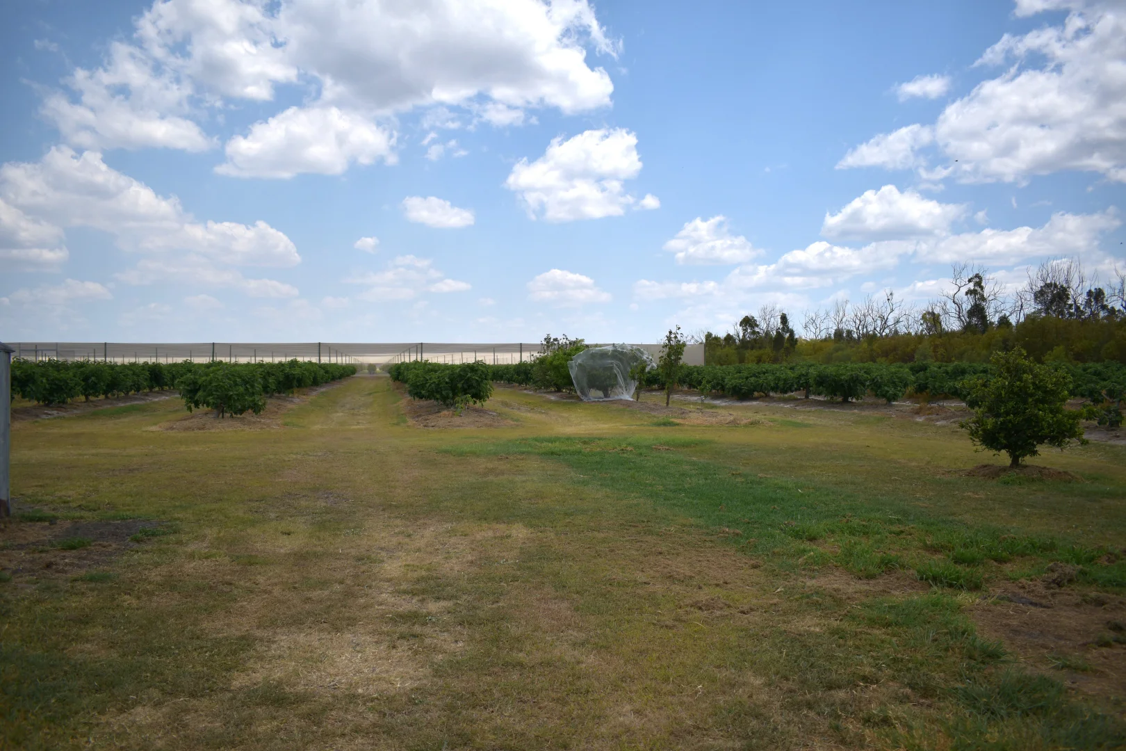 Additional image 6 of 135 Newlands Road, North Gregory QLD 4660