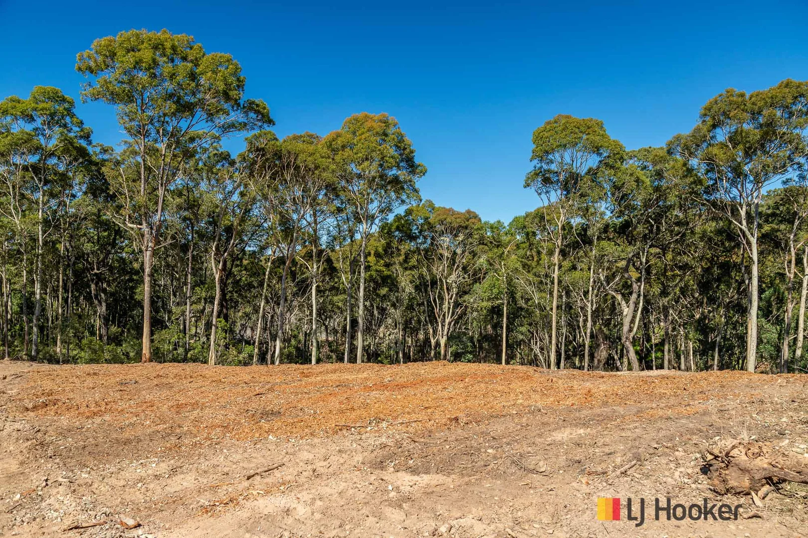 Additional image 4 of Wonga Lane, Lilli Pilli NSW 2536