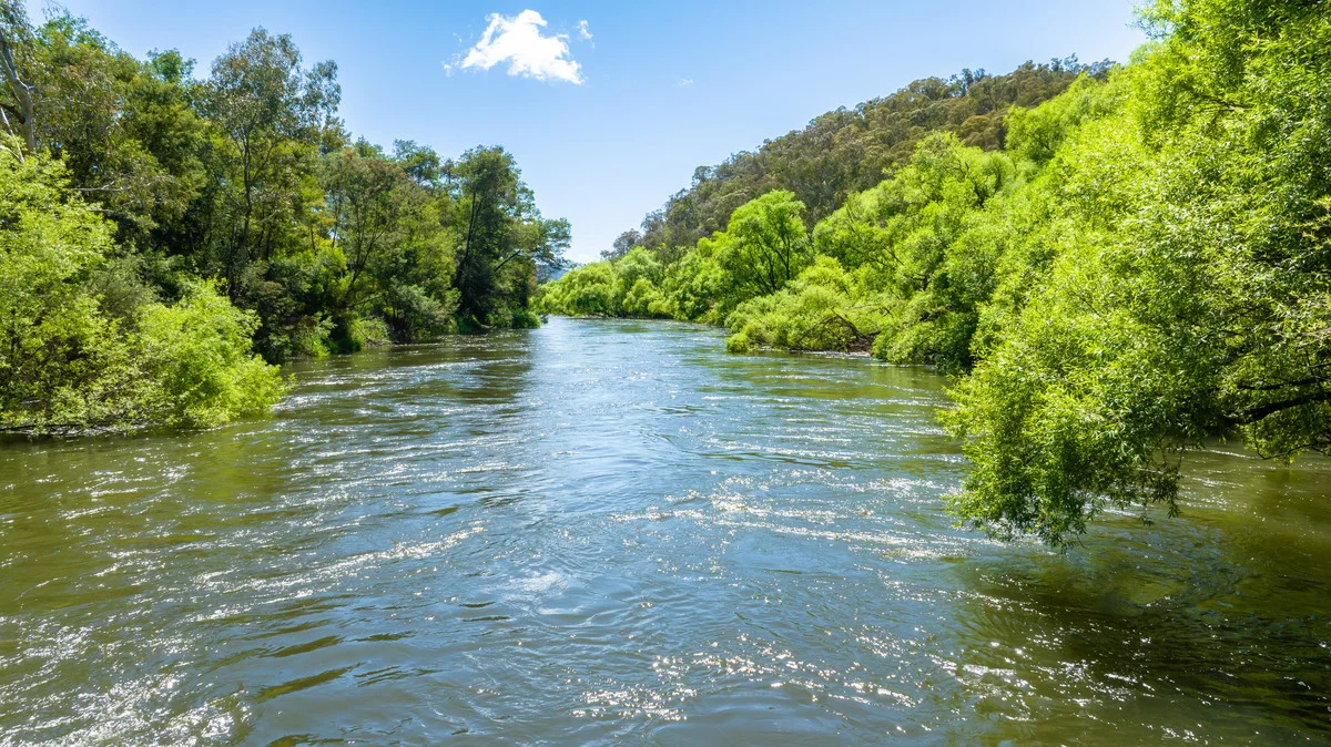 Additional image 5 of 3082 Omeo Highway, Tallandoon VIC 3701