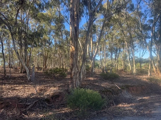 Additional image 14 of 2-20 Godfrey Street, Wedderburn VIC 3518