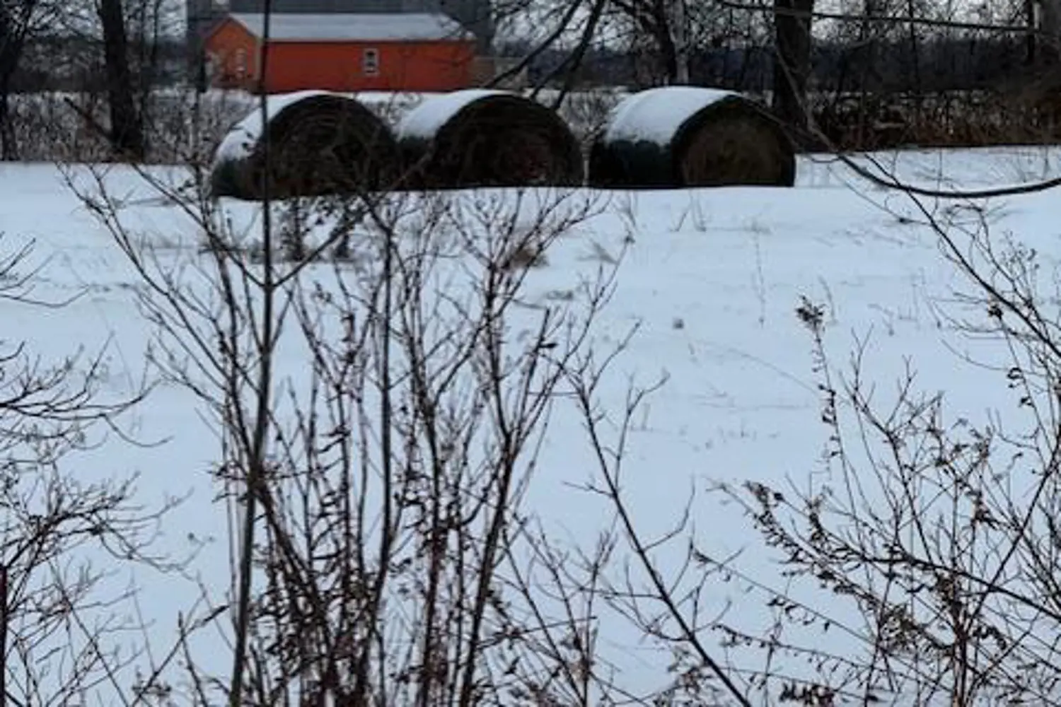 Additional image 4 of Pt 42 Schell Farm