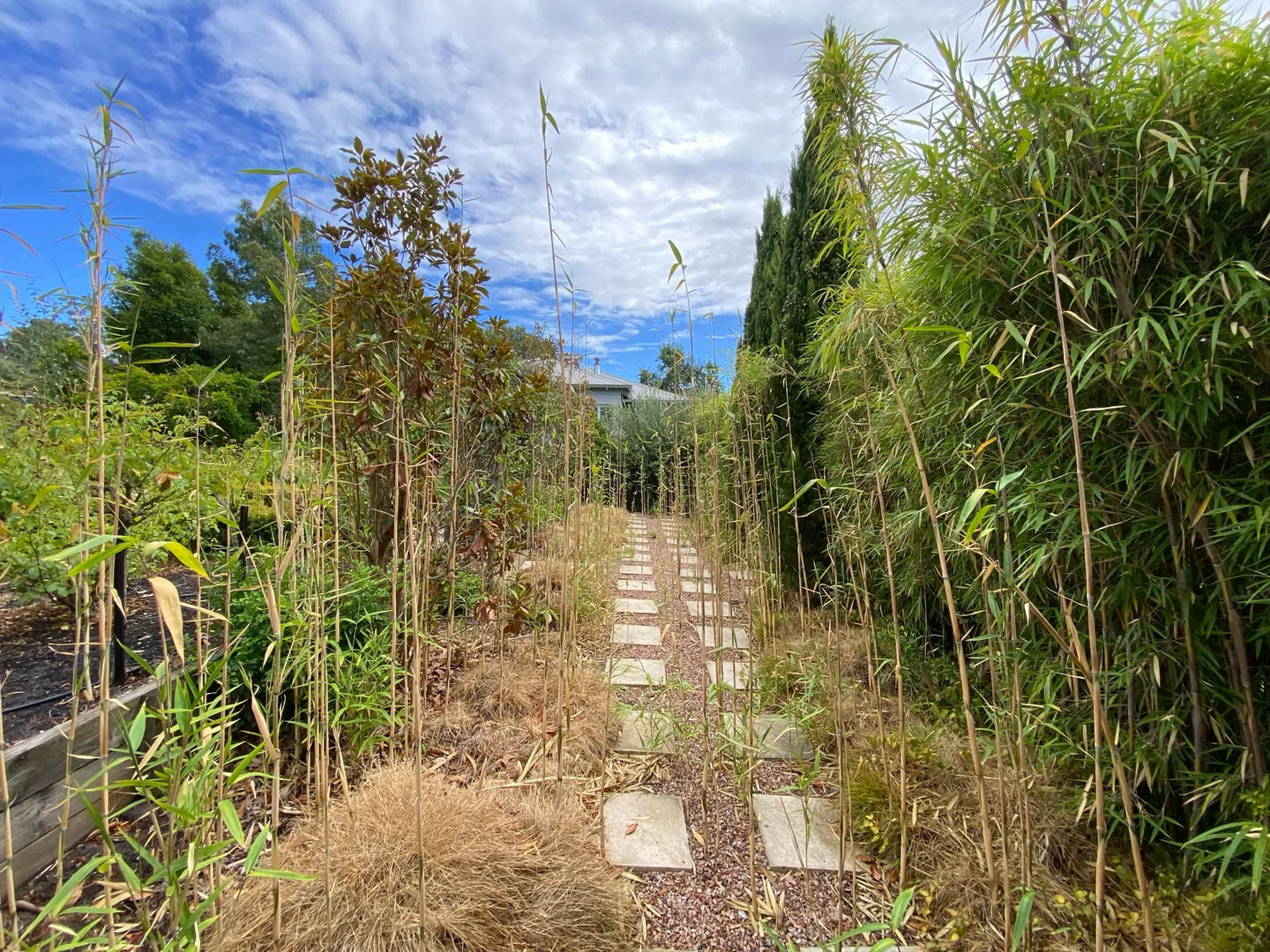 Additional image 7 of 3 Dusting Drive, Bridgetown WA 6255