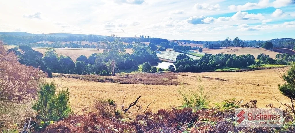 Additional image 13 of Lot 2 Storys Road, Lebrina TAS 7254