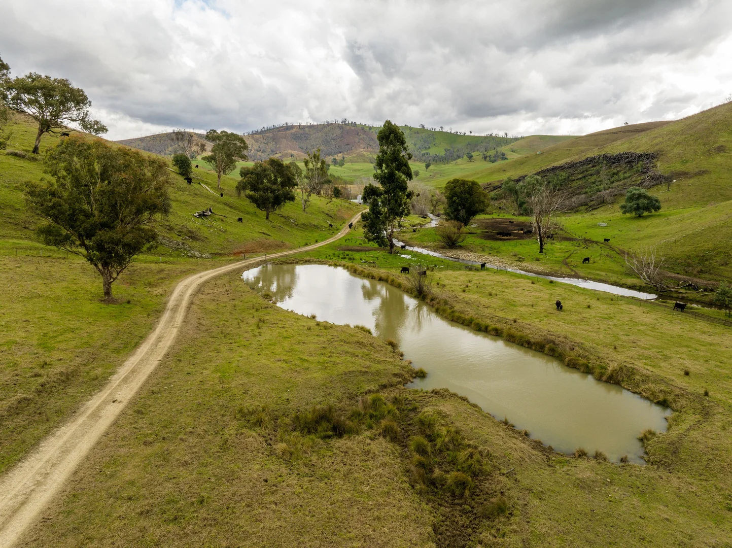 Additional image 13 of 'Rockview' 400 Horse Creek Road, Jingellic NSW 2642