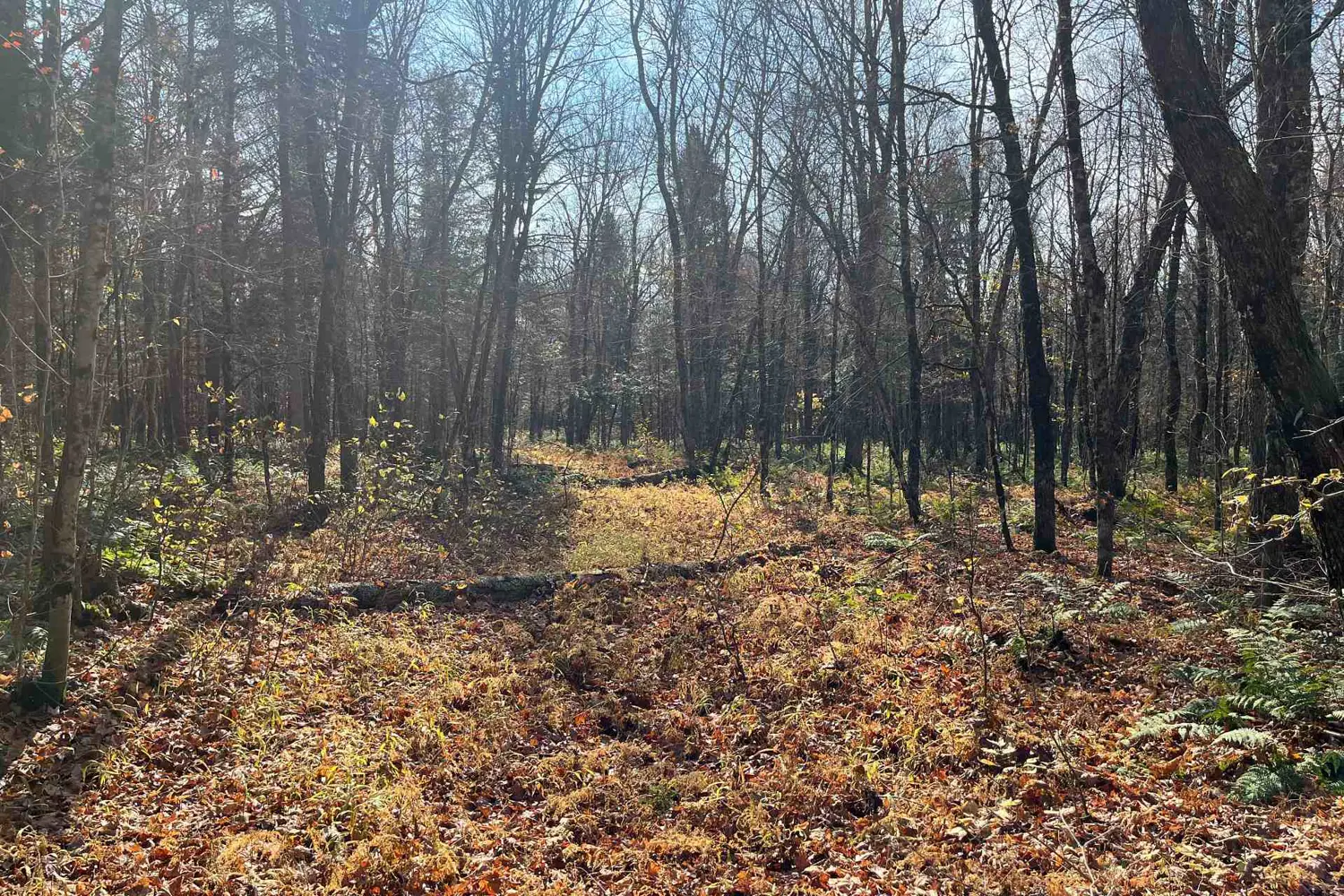 Additional image 19 of 267 & 321 Cardwell Lake Road