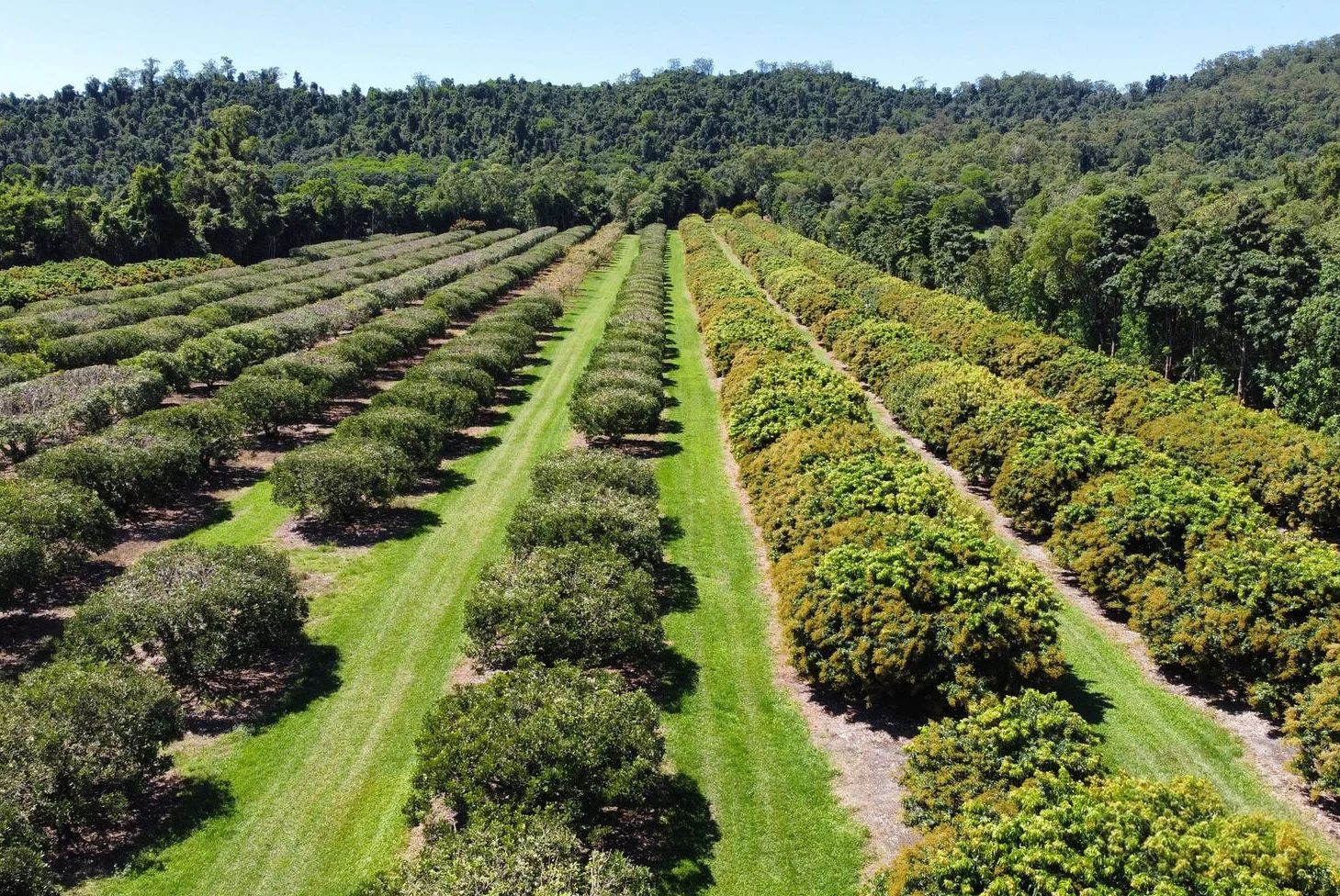 Additional image 44 of 281 Dingo Pocket Rd, Dingo Pocket QLD 4854