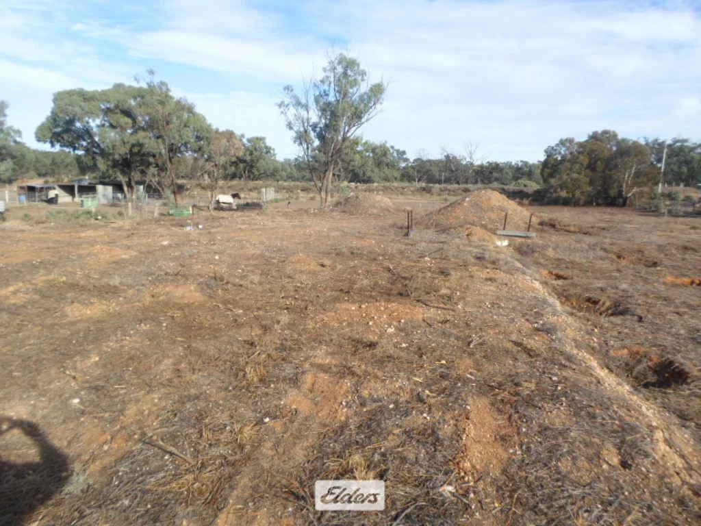 Additional image 5 of 42 Nixon Street, Euston NSW 2737