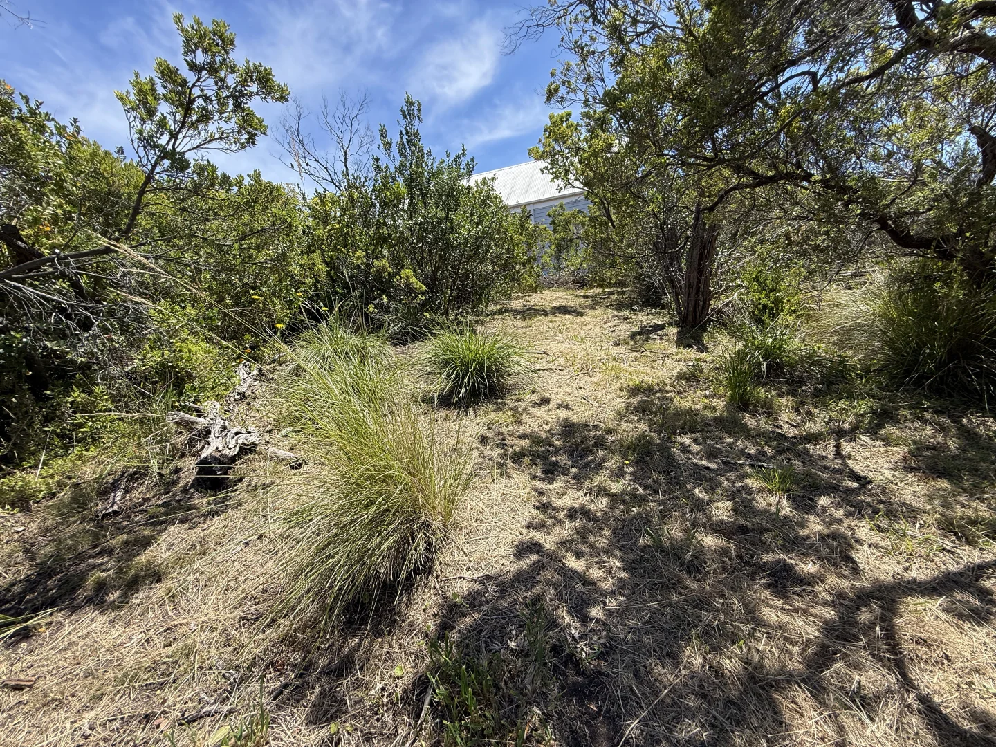 Additional image 8 of 20 Rodney Street, Rye VIC 3941