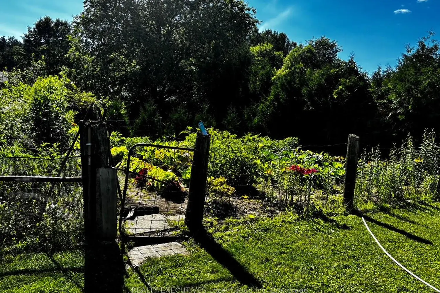 Additional image 5 of 46 Paget Street