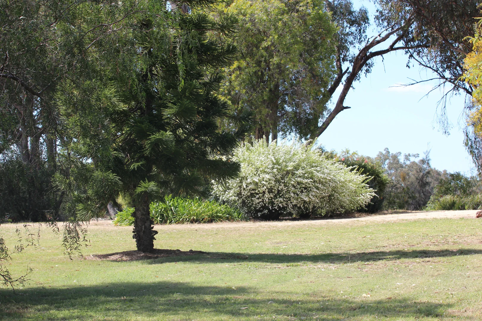 Additional image 32 of 372 Swanbrook Rd, Inverell NSW 2360