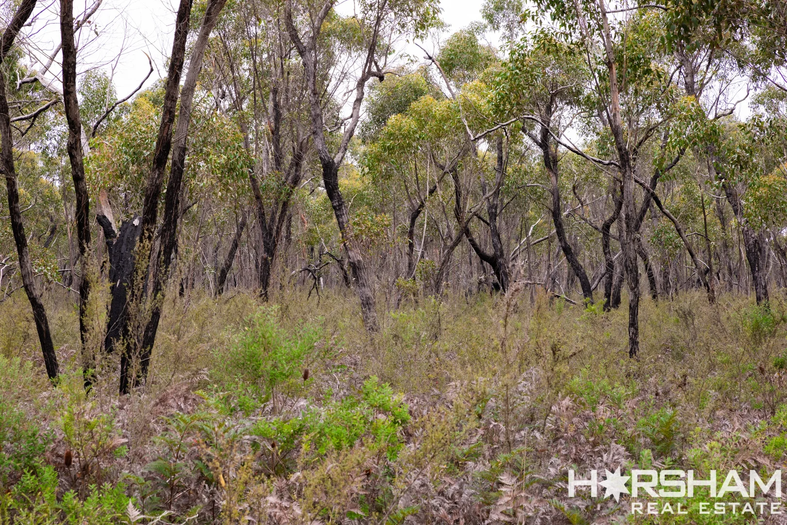 Additional image 11 of Lot 25 Patricias Road, Edenhope VIC 3318