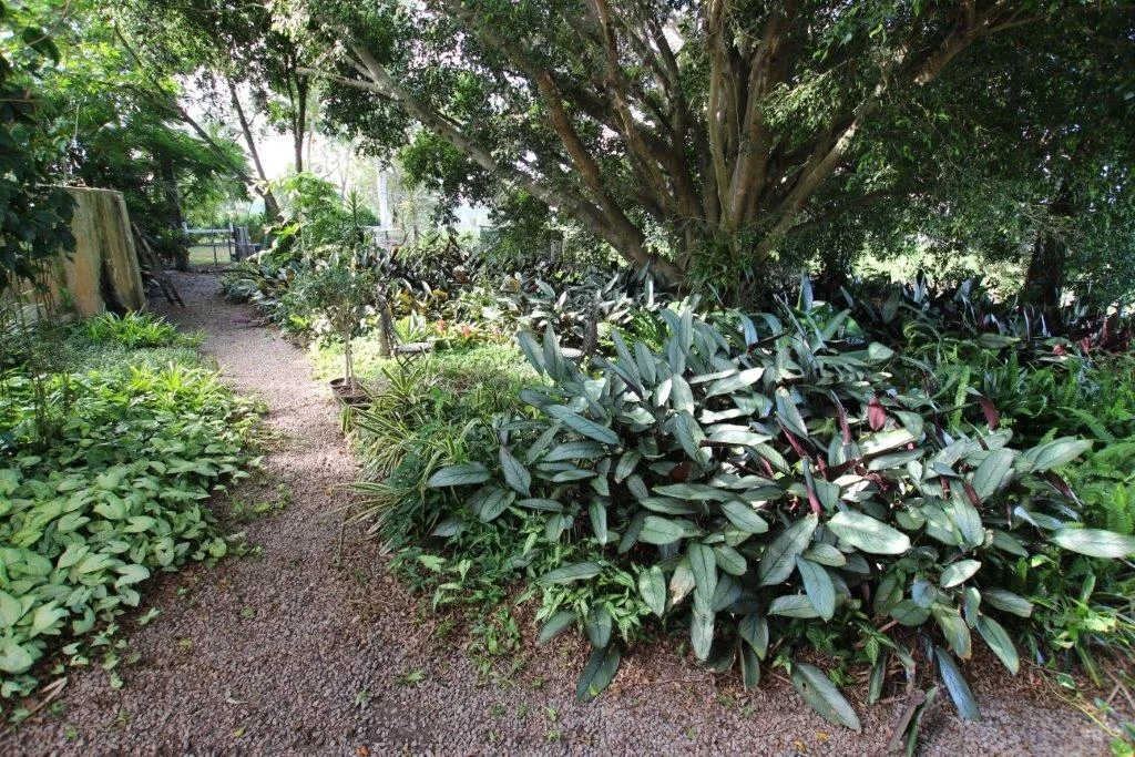 Additional image 53 of Woodford QLD 4514