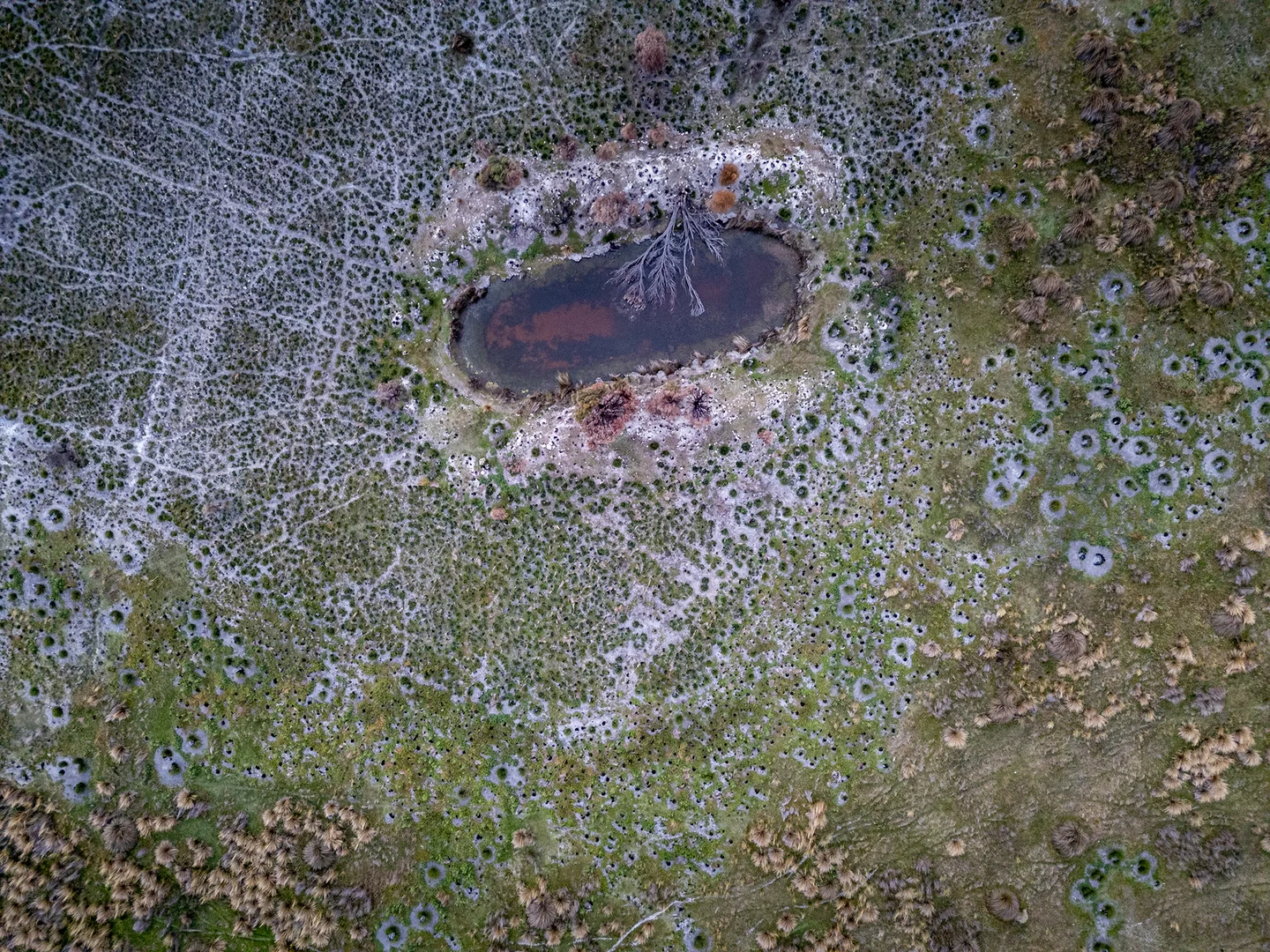 Additional image 16 of PID 3118936 Palana Road, Whitemark TAS 7255