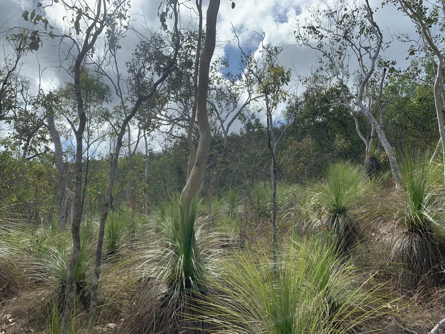 Additional image 5 of LOT 36 Whitsunday Dr, Bloomsbury QLD 4799