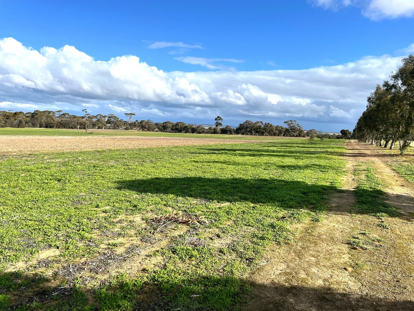 Additional image 3 of 4070 Quairading-York Road, Kauring WA 6302