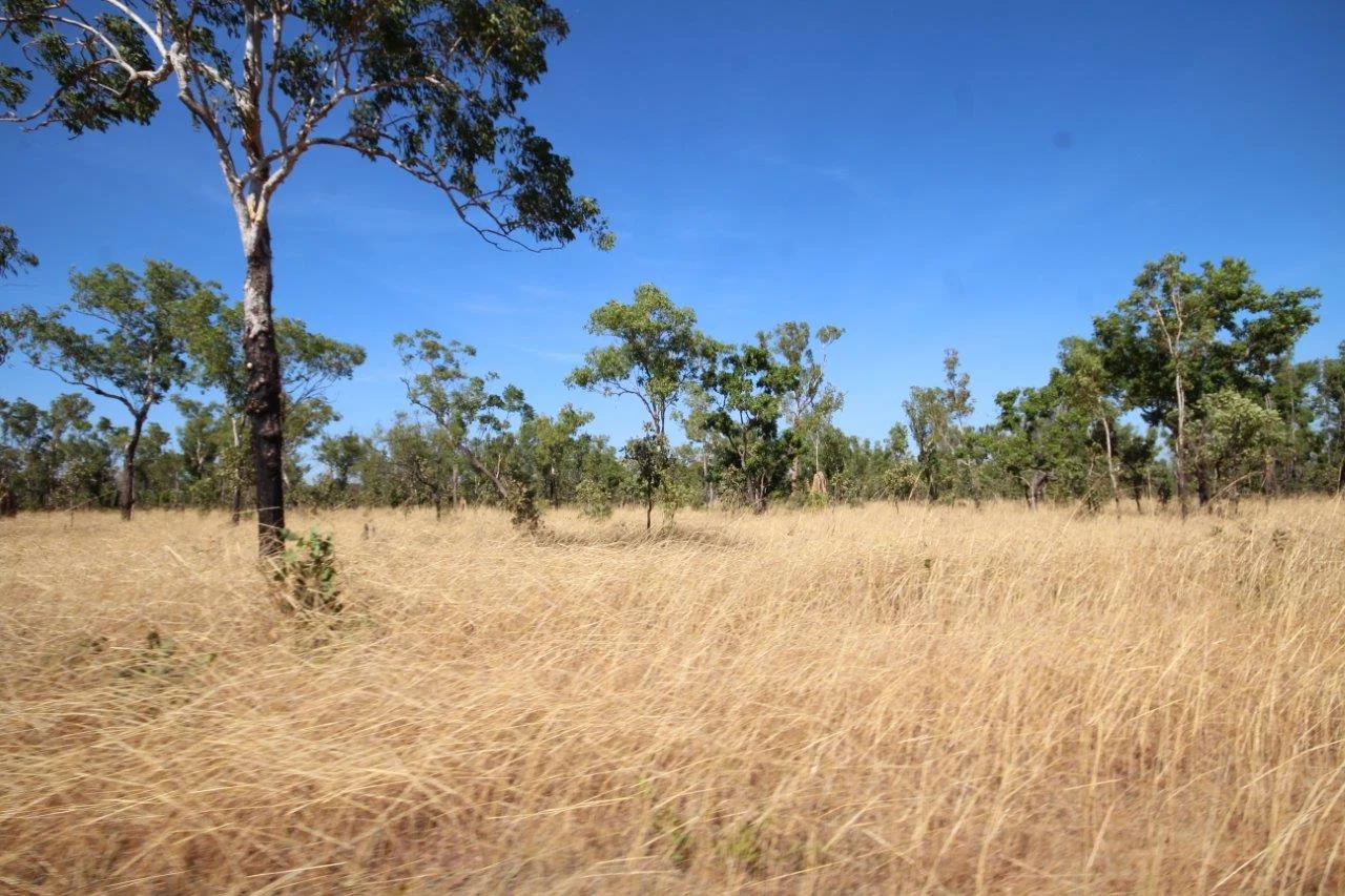 Additional image 28 of Acacia Hills NT 0822