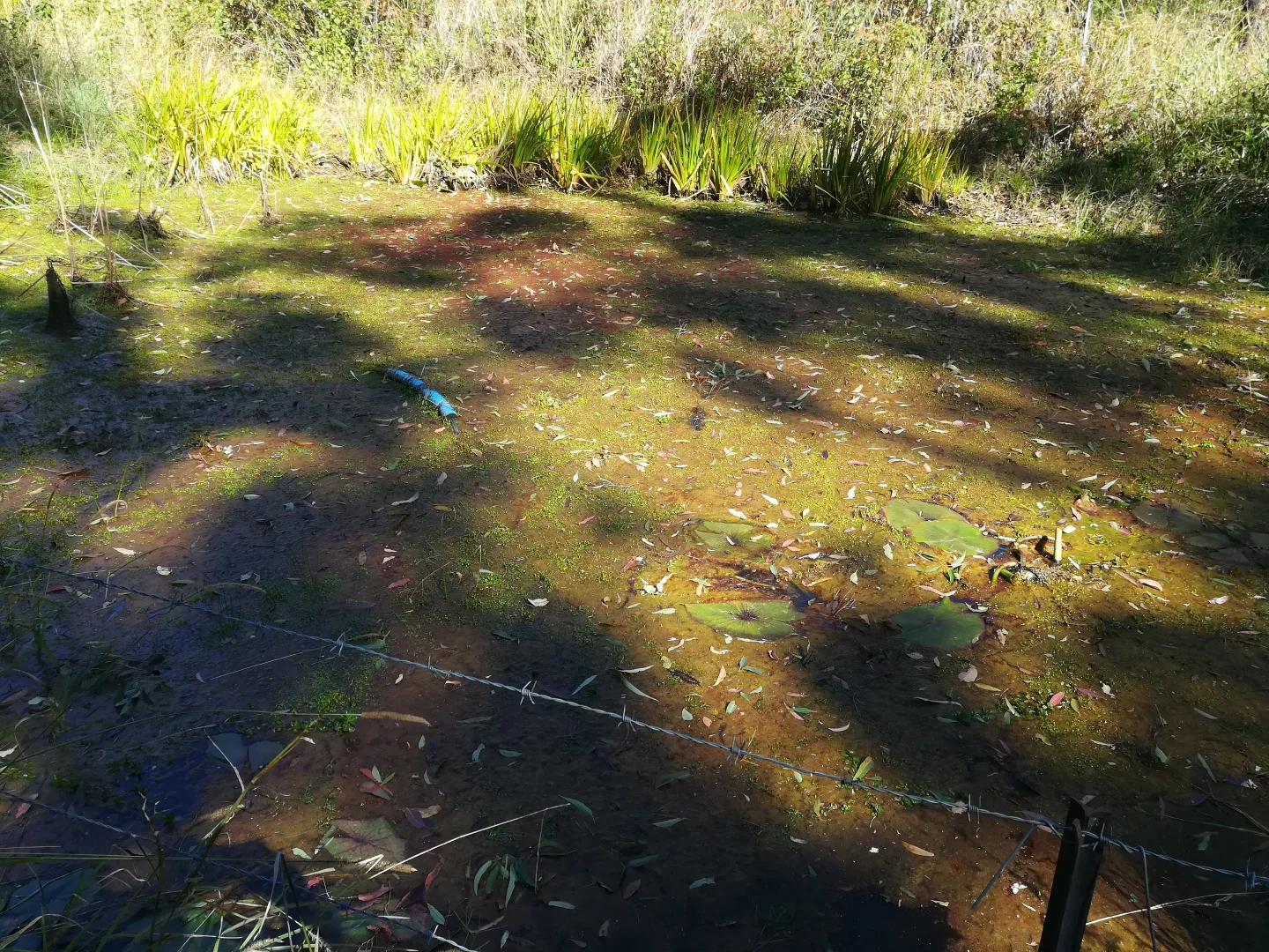 Additional image 8 of 123 Old School Road, Busbys Flat NSW 2469