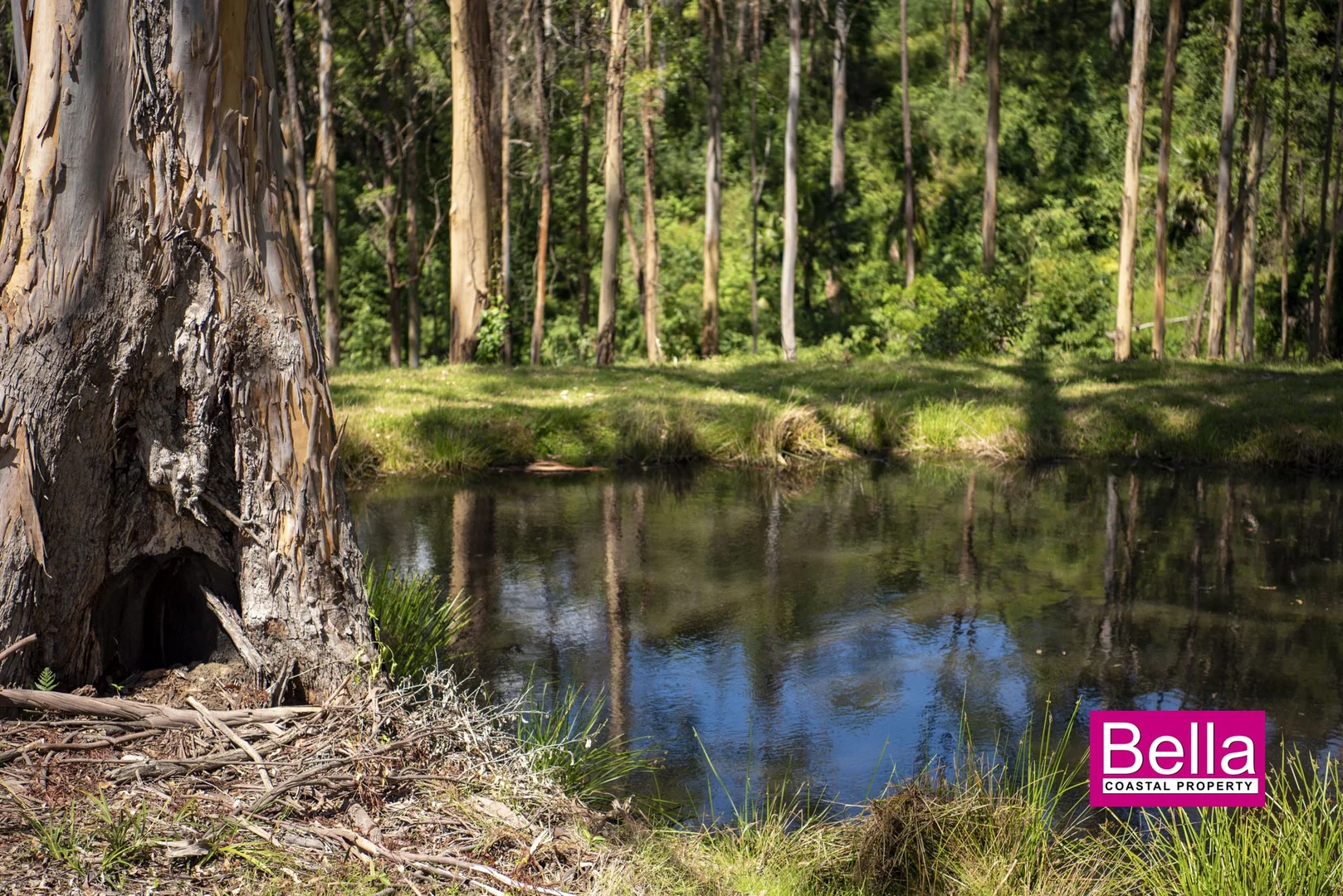 Additional image 12 of 41 Old Coach Road, Termeil NSW 2539