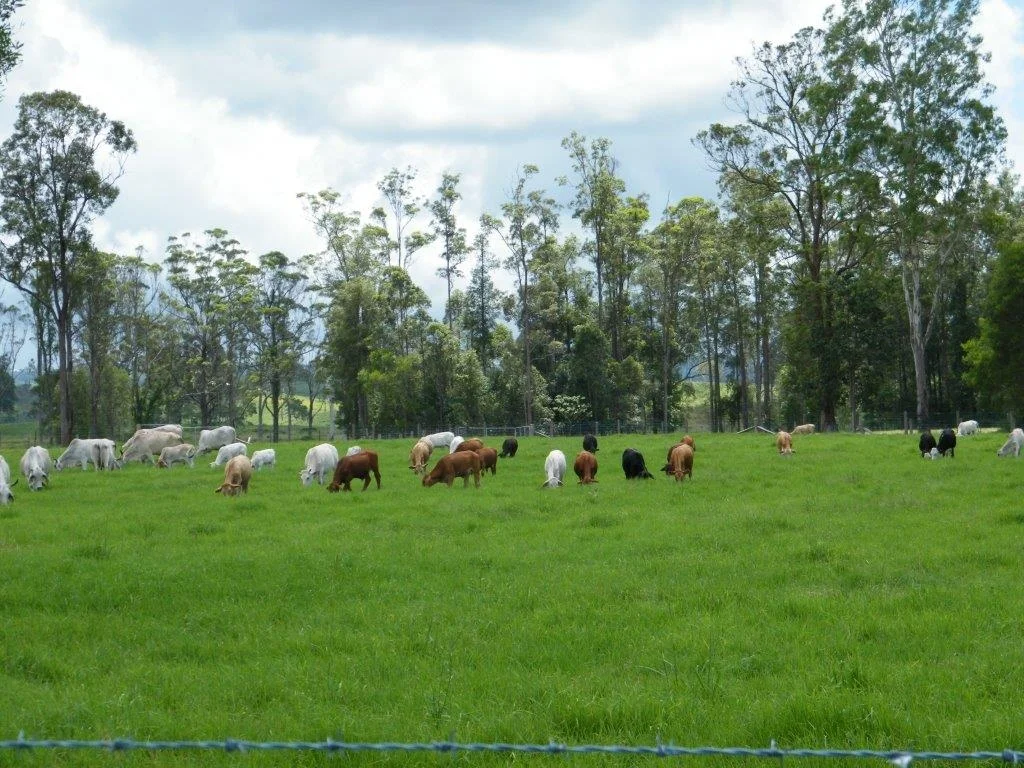 Additional image 71 of Woodford QLD 4514