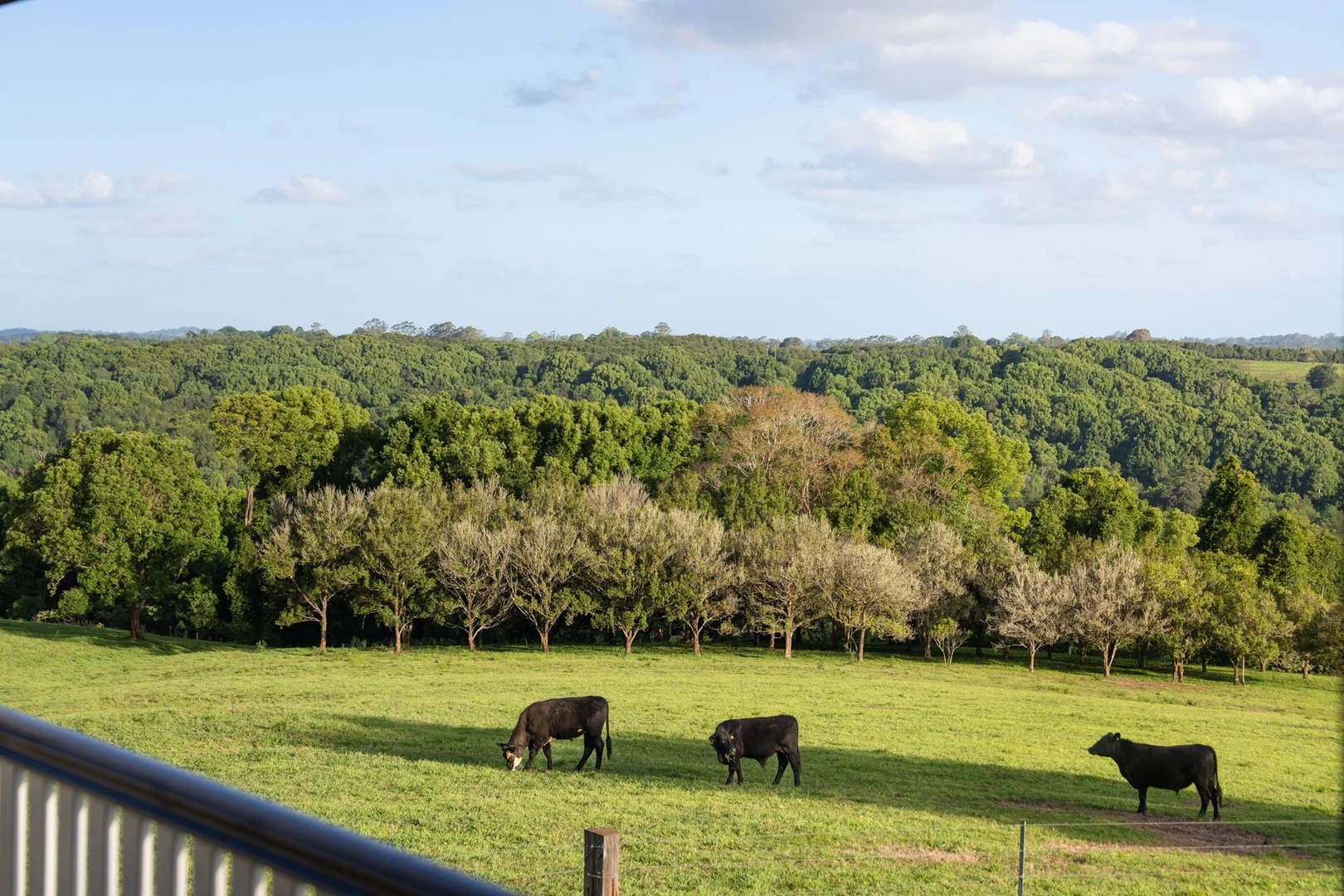 Additional image 42 of 272 Arthur Road, Corndale NSW 2480