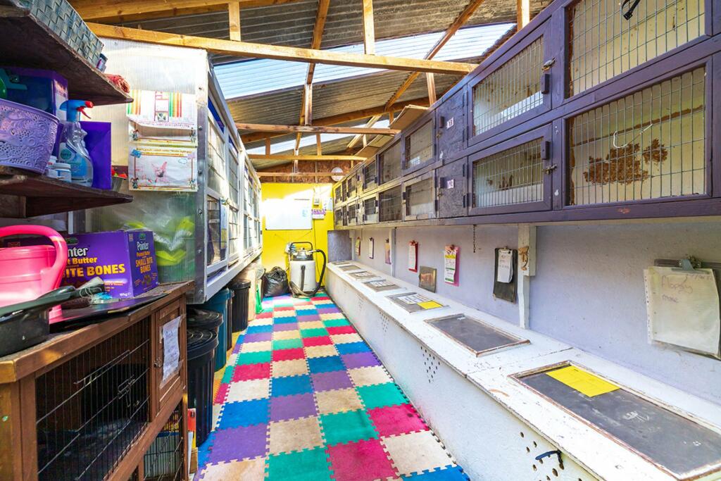 Additional image 12 of Bauds Pet Care and Garden Centre, Woodhead Bauds, Buckie, AB56 4DY