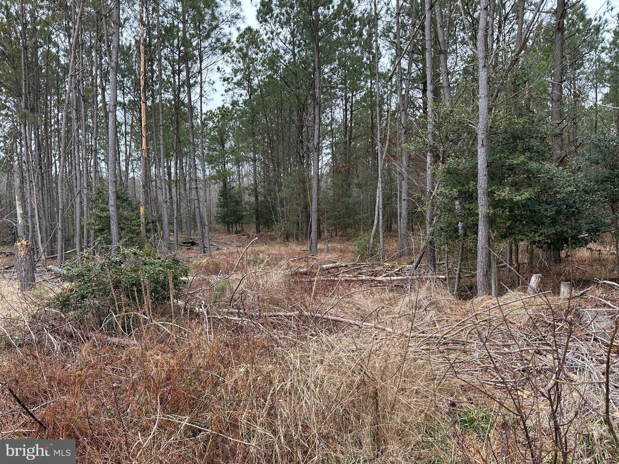 Additional image 20 of Owens Road, Greenwood, DE 19950