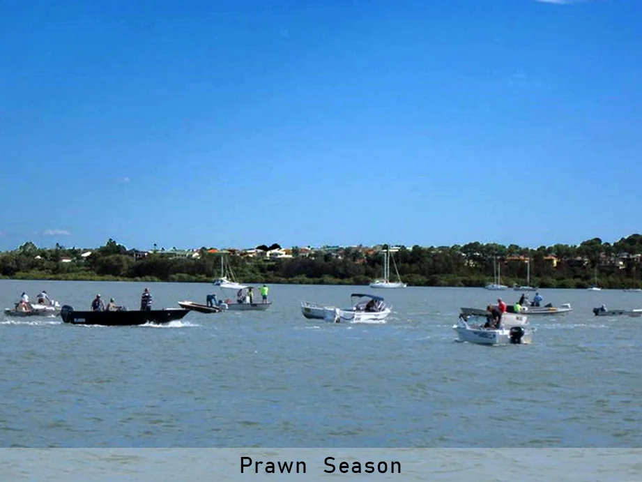 Additional image 7 of 42 Bangalow Street, Russell Island QLD 4184