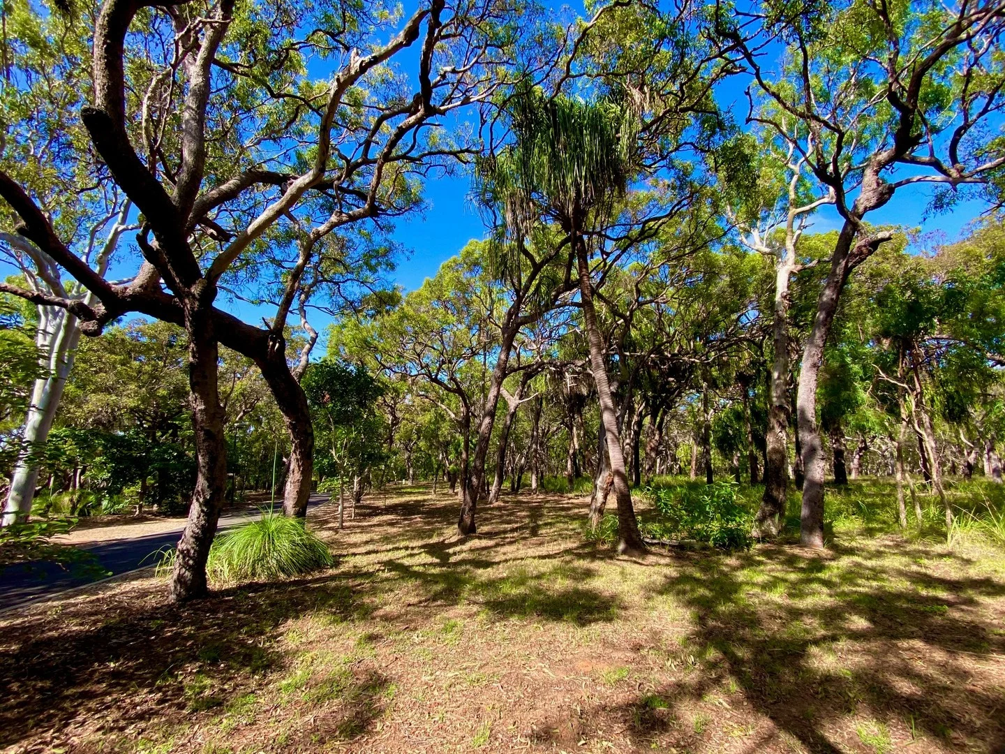 L 39 Bloodwood Ave, Agnes Water QLD 4677