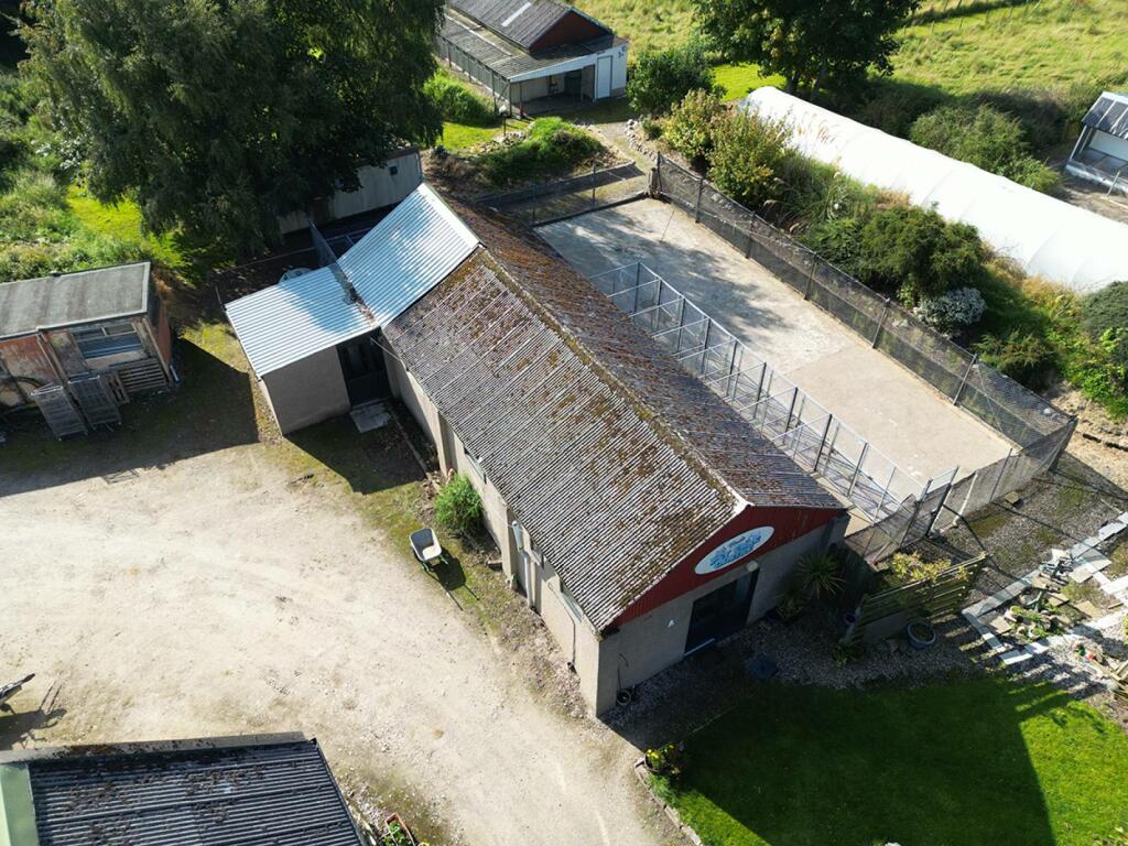 Additional image 19 of Bauds Pet Care and Garden Centre, Woodhead Bauds, Buckie, AB56 4DY