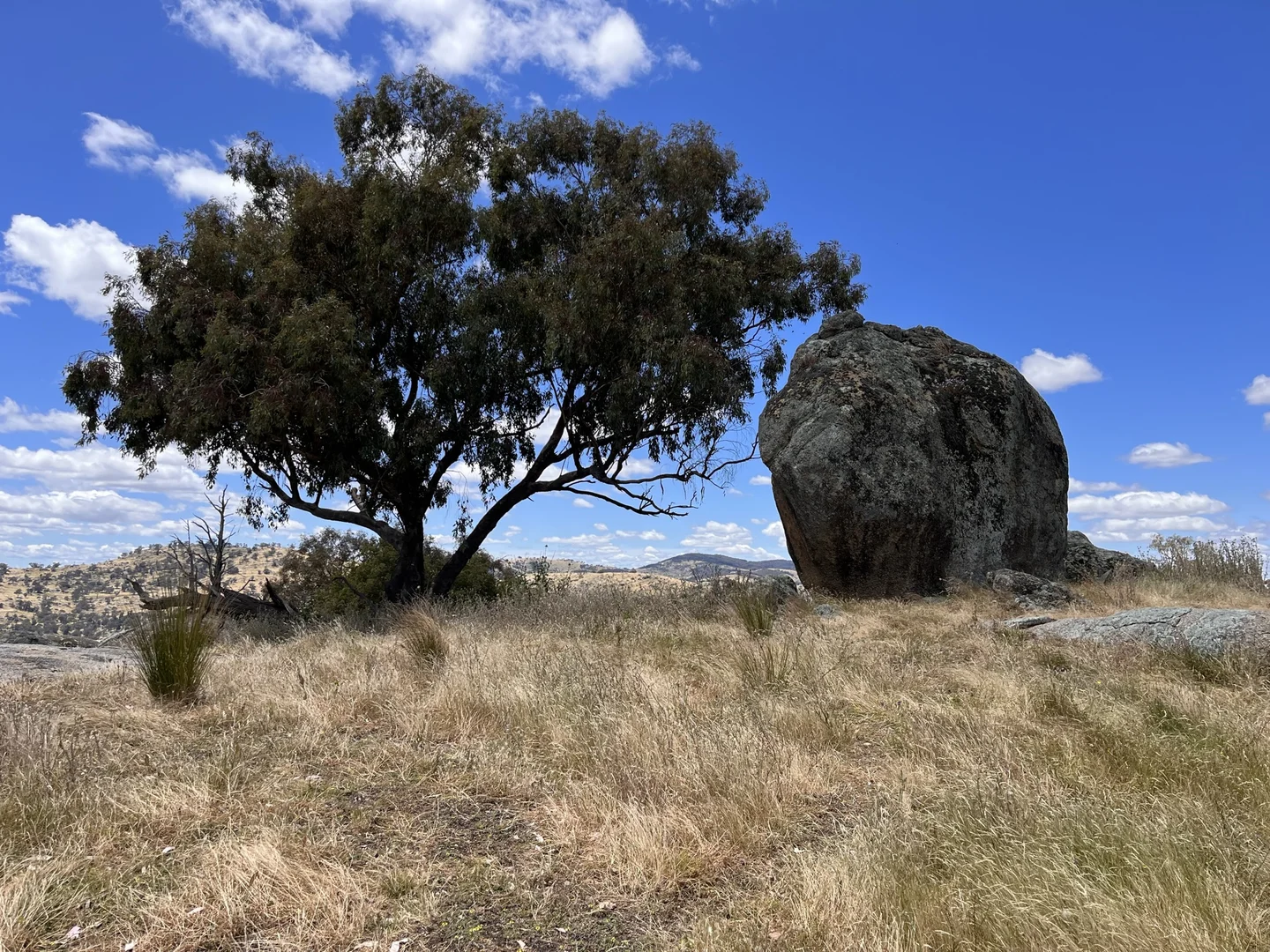 Additional image 19 of Lot 3 Tarrants Gap Road, Wyangala NSW 2808