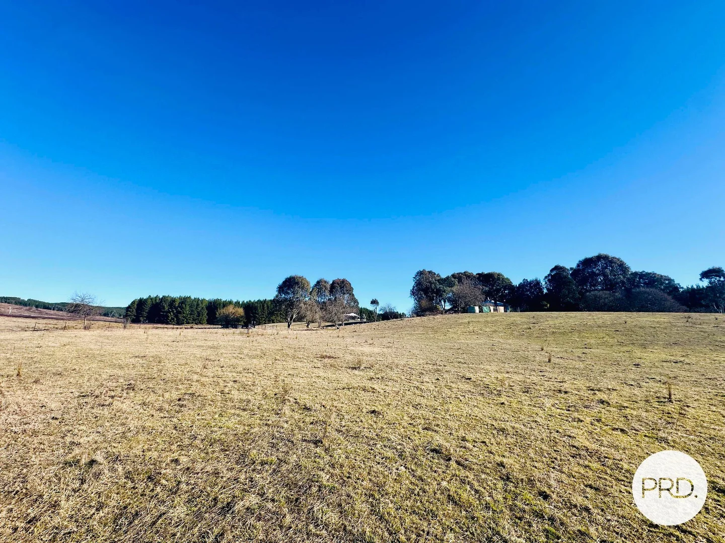 Additional image 32 of 233 Logans Road, Tumbarumba NSW 2653