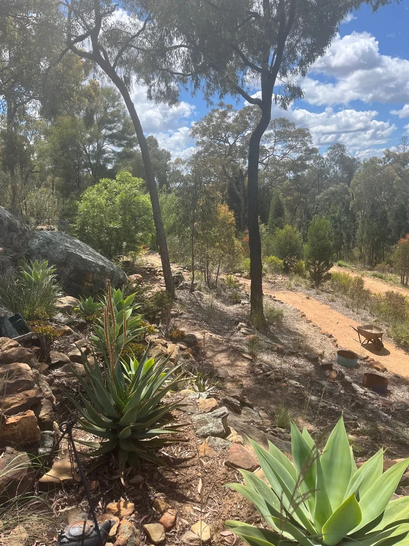 Additional image 29 of 4655 Baradine Road, Coonabarabran NSW 2357