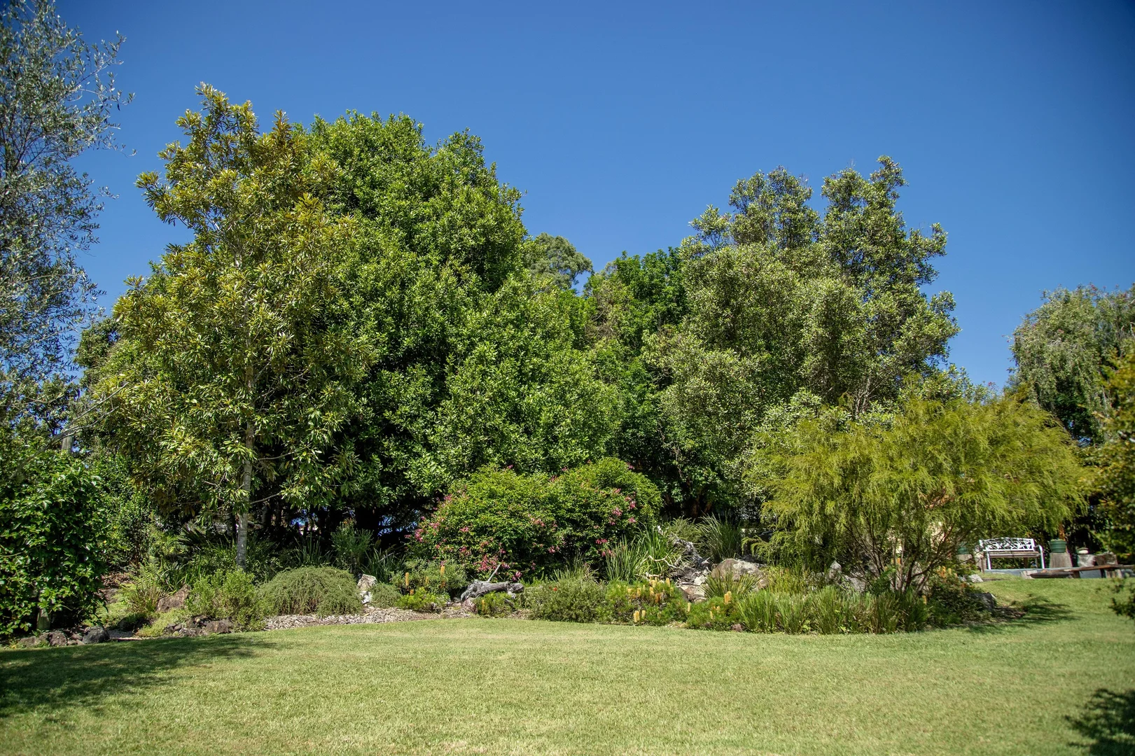 Additional image 31 of 1694 Comboyne Road, Killabakh NSW 2429