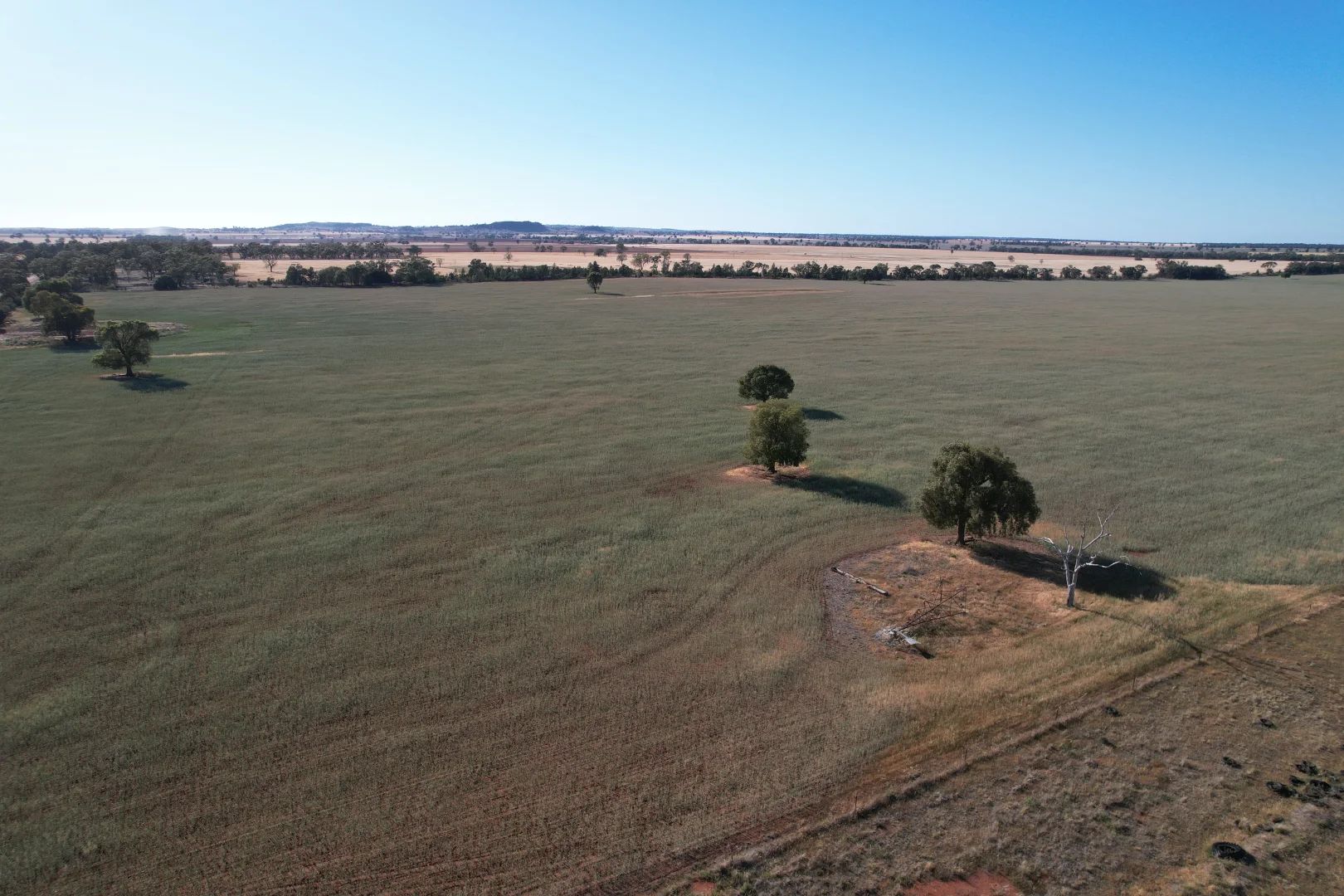 Additional image 13 of 'Boree Glen' 456 Whymarks Lane, Tullibigeal NSW 2669