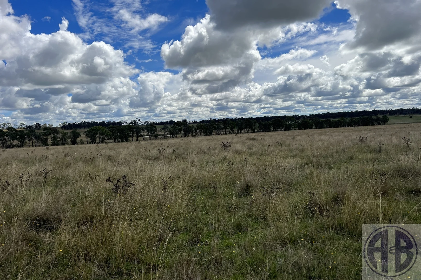 Additional image 3 of Uralla NSW 2358