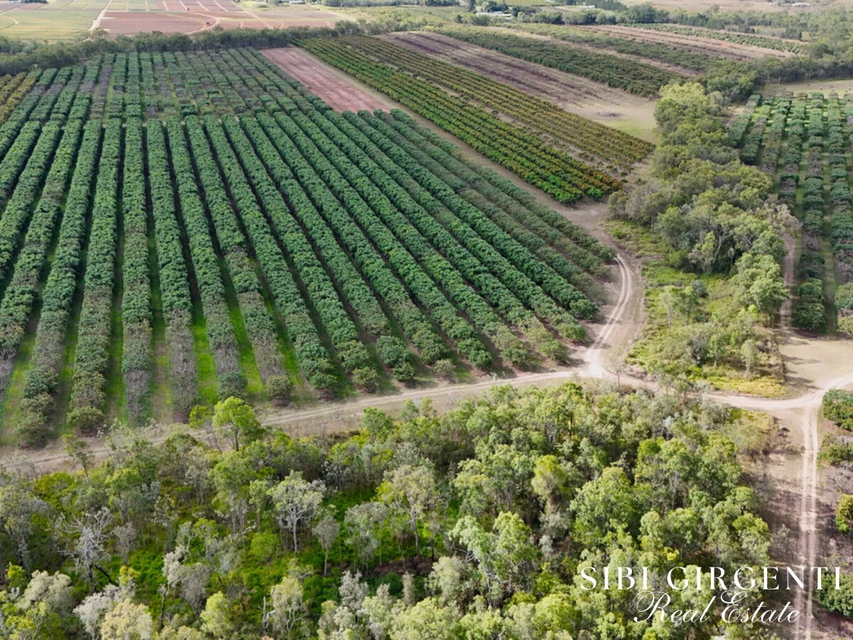 Additional image 24 of 44 Carman Road, Paddys Green QLD 4880