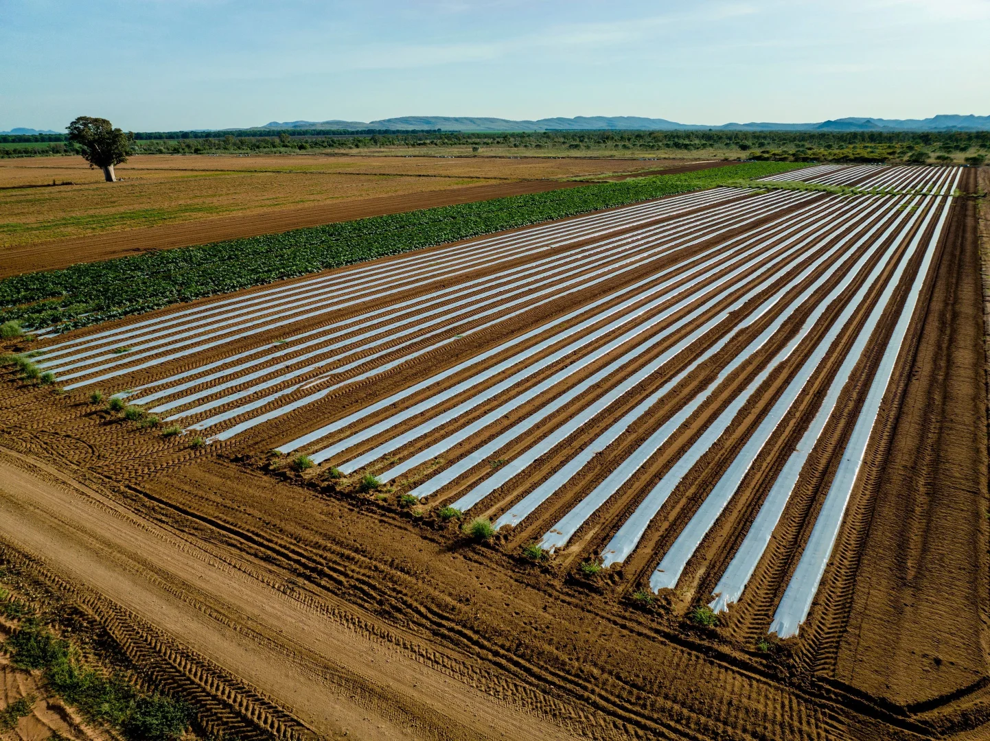 Additional image 12 of 349 Mulligans Lagoon Rd, Kununurra WA 6743
