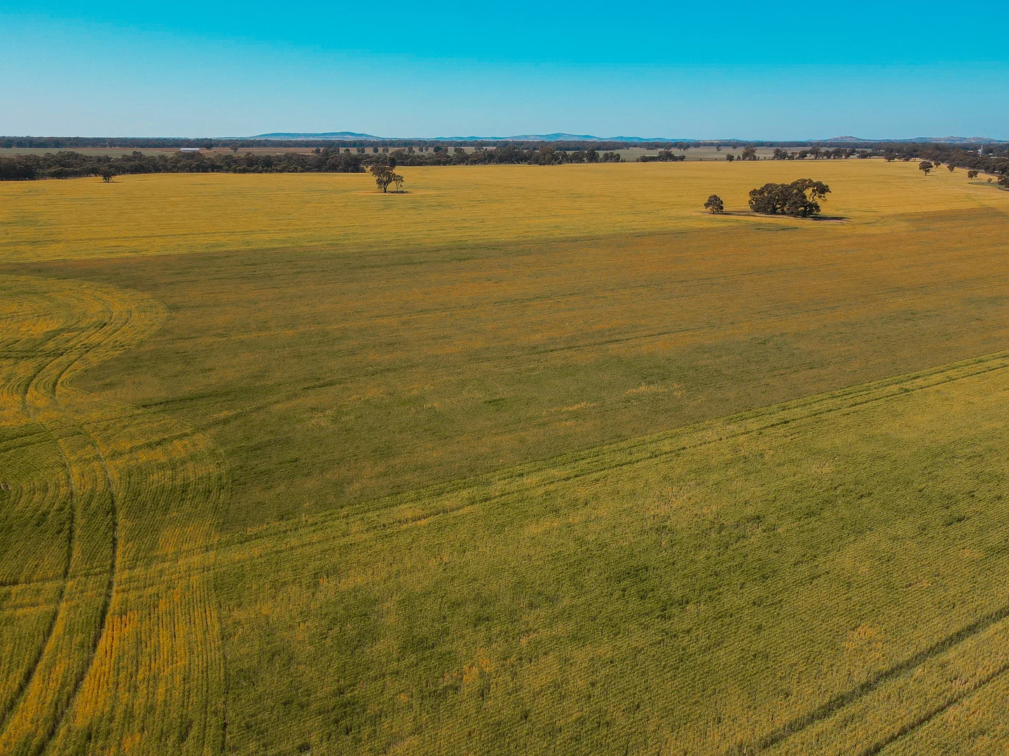 Additional image 18 of Teddywaddy VIC 3527