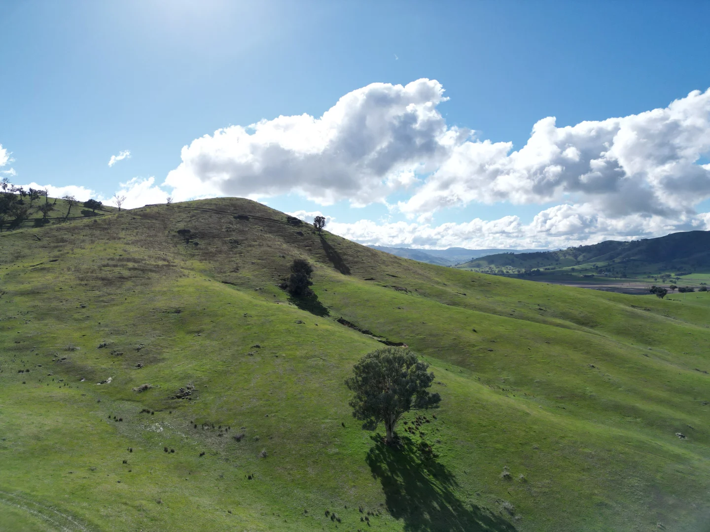 Additional image 5 of 1, LP135805 Kiewa East Road, Tangambalanga VIC 3691